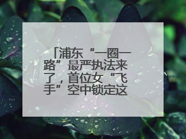 浦东“一圈一路”最严执法来了，首位女“飞手”空中锁定这些交通陋习