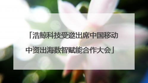 浩鲸科技受邀出席中国移动中资出海数智赋能合作大会