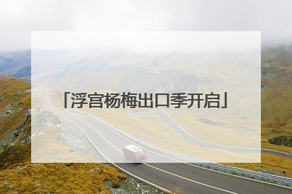 浮宫杨梅出口季开启