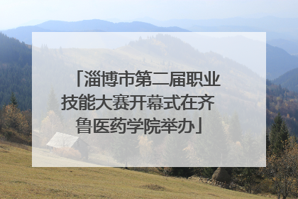 淄博市第二届职业技能大赛开幕式在齐鲁医药学院举办