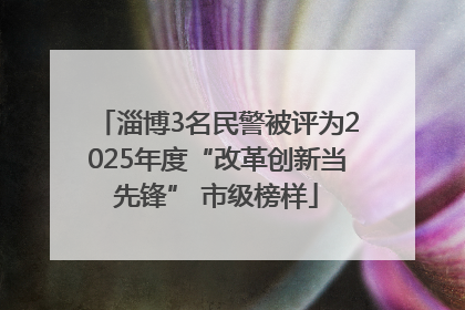 淄博3名民警被评为2025年度“改革创新当先锋” 市级榜样