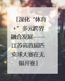 深化“体育+”多元跨界融合发展——江苏省首届匹克球大赛在无锡开赛