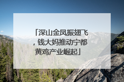 深山金凤振翅飞，钱大妈推动宁都黄鸡产业崛起