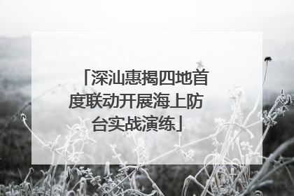深汕惠揭四地首度联动开展海上防台实战演练