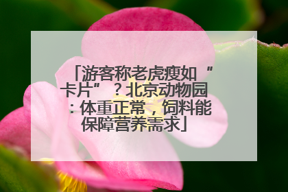 游客称老虎瘦如“卡片”？北京动物园：体重正常，饲料能保障营养需求