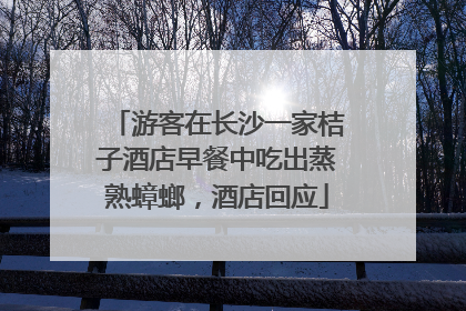 游客在长沙一家桔子酒店早餐中吃出蒸熟蟑螂，酒店回应