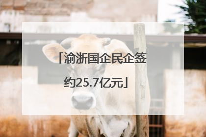渝浙国企民企签约25.7亿元