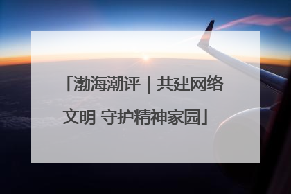 渤海潮评｜共建网络文明 守护精神家园