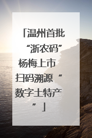 温州首批“浙农码”杨梅上市 扫码溯源“数字土特产”