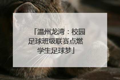 温州龙湾：校园足球班级联赛点燃学生足球梦