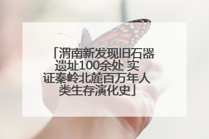 渭南新发现旧石器遗址100余处 实证秦岭北麓百万年人类生存演化史