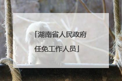 湖南省人民政府任免工作人员