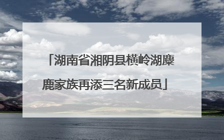 湖南省湘阴县横岭湖麋鹿家族再添三名新成员