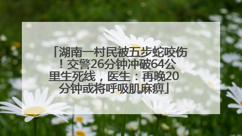 湖南一村民被五步蛇咬伤！交警26分钟冲破64公里生死线，医生：再晚20分钟或将呼吸肌麻痹