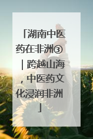 湖南中医药在非洲③｜跨越山海，中医药文化浸润非洲