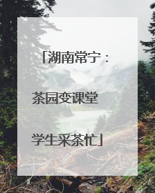 湖南常宁：茶园变课堂 学生采茶忙