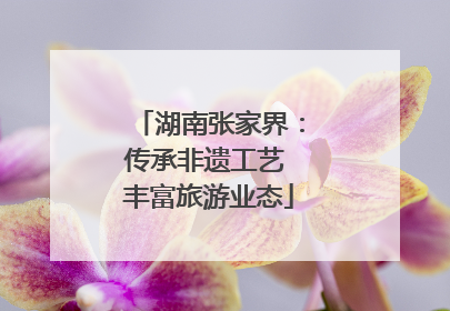 湖南张家界：传承非遗工艺 丰富旅游业态