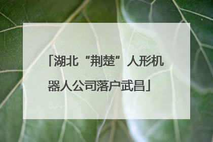 湖北“荆楚”人形机器人公司落户武昌