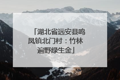 湖北省远安县鸣凤镇北门村：竹林遍野绿生金