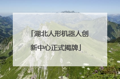 湖北人形机器人创新中心正式揭牌