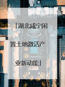 湖北咸宁闲置土地激活产业新动能