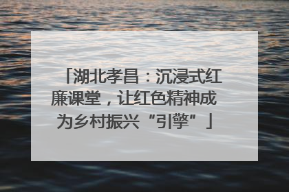 湖北孝昌：沉浸式红廉课堂，让红色精神成为乡村振兴“引擎”
