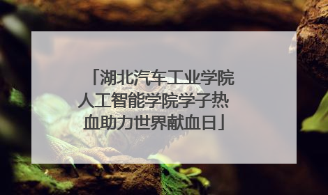 湖北汽车工业学院人工智能学院学子热血助力世界献血日