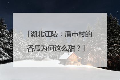 湖北江陵：潘市村的香瓜为何这么甜？