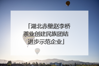 湖北赤壁赵李桥茶业创建民族团结进步示范企业