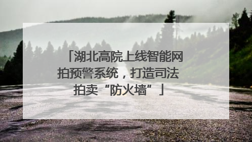 湖北高院上线智能网拍预警系统，打造司法拍卖“防火墙”