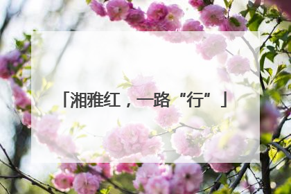 湘雅红，一路“行”