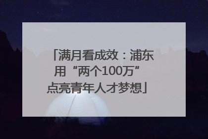 满月看成效：浦东用“两个100万”点亮青年人才梦想