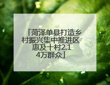 菏泽单县打造乡村振兴集中推进区 惠及十村2.14万群众