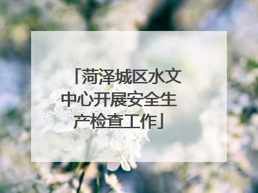 菏泽城区水文中心开展安全生产检查工作