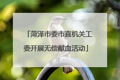 菏泽市委市直机关工委开展无偿献血活动