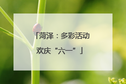 菏泽：多彩活动 欢庆“六一”