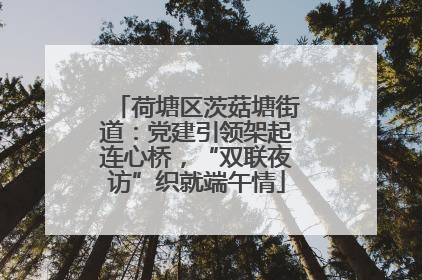 荷塘区茨菇塘街道：党建引领架起连心桥，“双联夜访”织就端午情