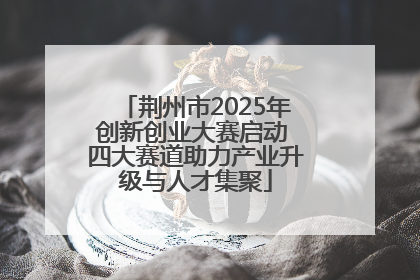 荆州市2025年创新创业大赛启动 四大赛道助力产业升级与人才集聚