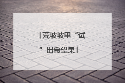 荒坡坡里“试”出希望果