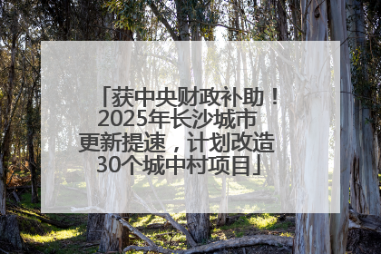 获中央财政补助！2025年长沙城市更新提速，计划改造30个城中村项目