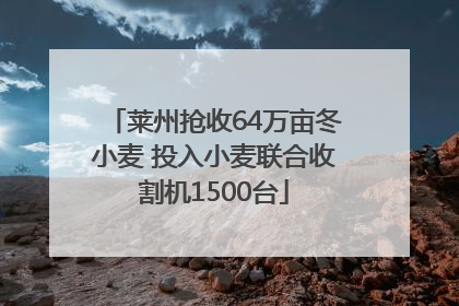 莱州抢收64万亩冬小麦 投入小麦联合收割机1500台