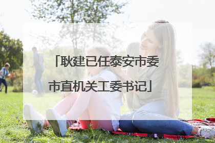 耿建已任泰安市委市直机关工委书记