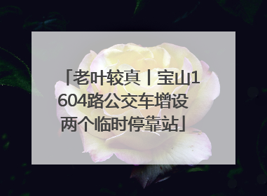 老叶较真丨宝山1604路公交车增设两个临时停靠站