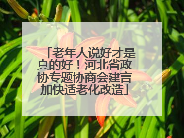 老年人说好才是真的好！河北省政协专题协商会建言加快适老化改造