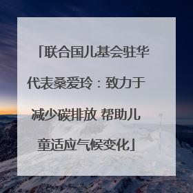 联合国儿基会驻华代表桑爱玲：致力于减少碳排放 帮助儿童适应气候变化