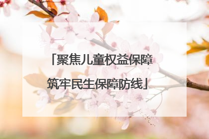 聚焦儿童权益保障 筑牢民生保障防线