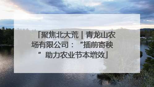 聚焦北大荒｜青龙山农场有限公司：“插前寄秧”助力农业节本增效