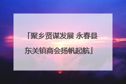 聚乡贤谋发展 永春县东关镇商会扬帆起航