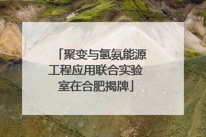 聚变与氢氨能源工程应用联合实验室在合肥揭牌