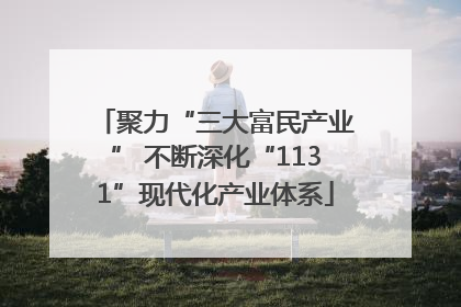 聚力“三大富民产业” 不断深化“1131”现代化产业体系
